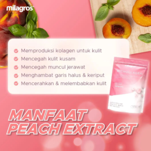 Milagros Barito Utara