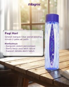 Agen Milagros Singaparna