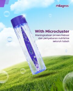 Agen Milagros Culamega