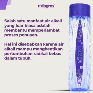 Agen Milagros Sukadana