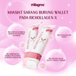 Agen Milagros Singajaya